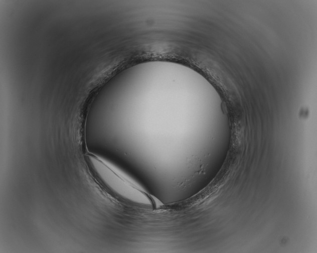 X0000093770450200711061138