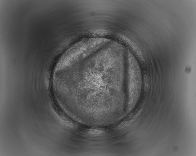 X0000093770451200711061138