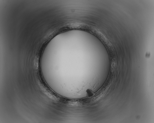 X0000093770454200711061138