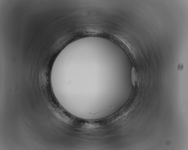 X0000093770455200711061138