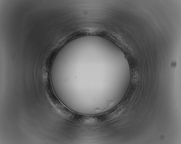 X0000093770456200711061138