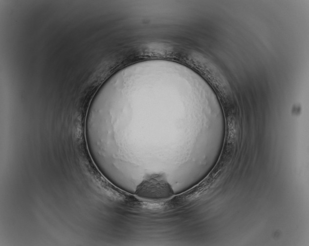 X0000093770457200711061138