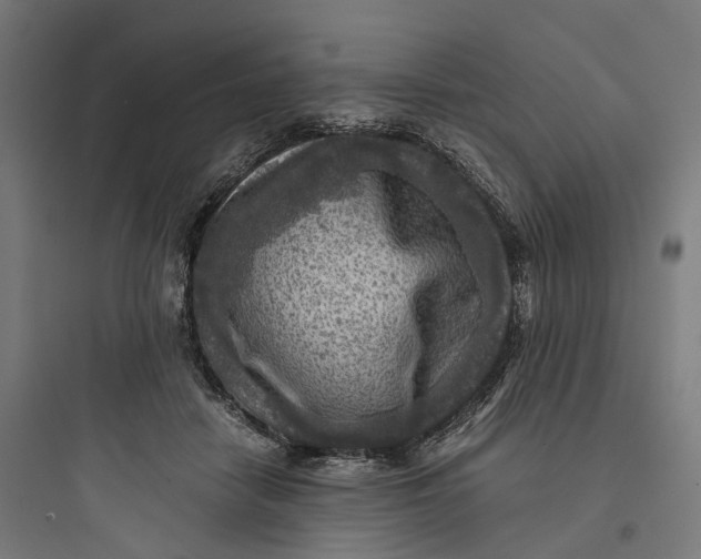 X0000093770458200711061138