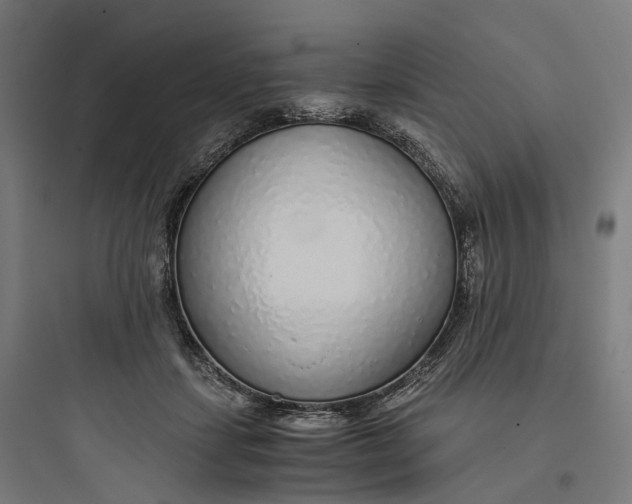 X0000093770459200711061138