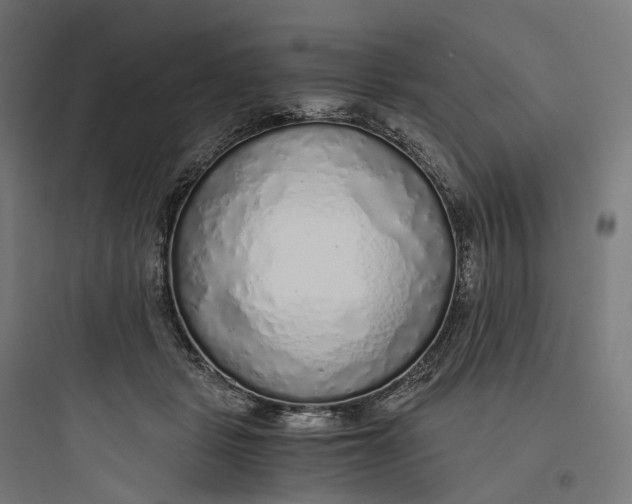 X0000093770461200711061138