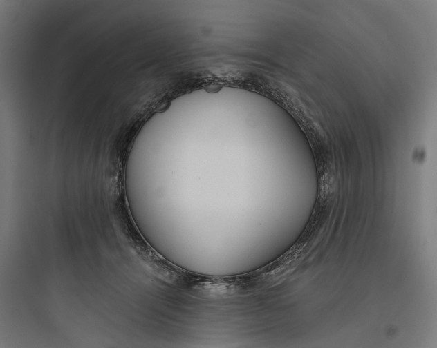 X0000093770464200711061138