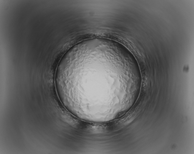 X0000093770466200711061138