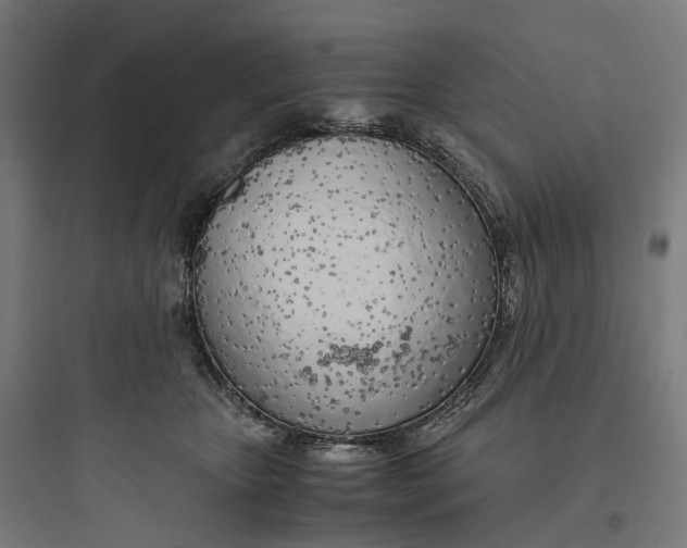 X0000093770467200711061138