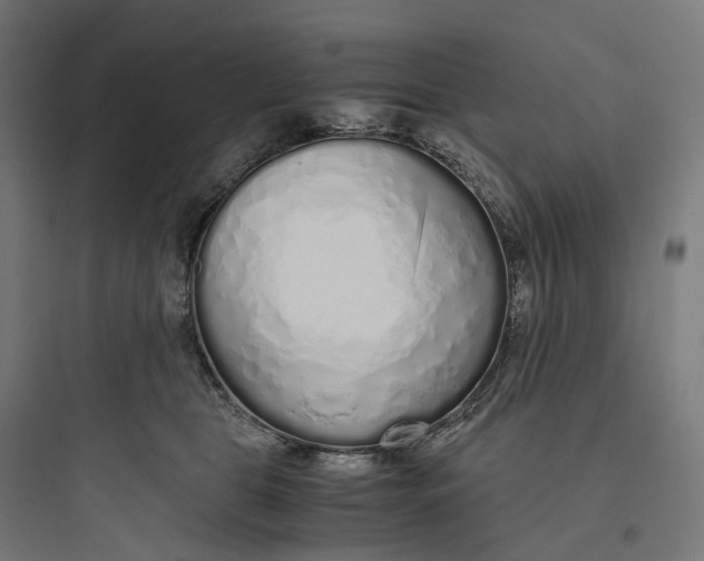 X0000093770469200711061138