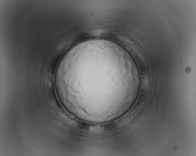 X0000093770470200711061139