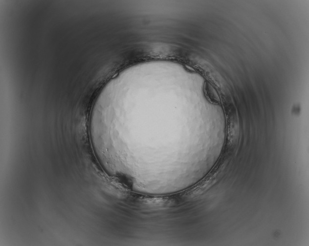 X0000093770473200711061139