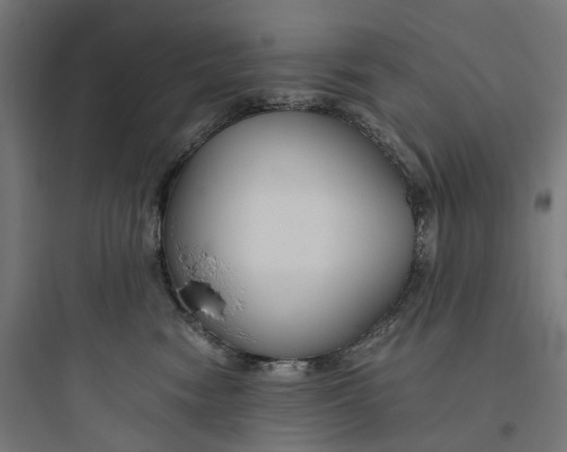 X0000093770474200711061139