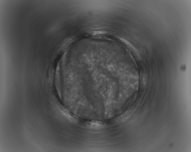 X0000093770475200711061139