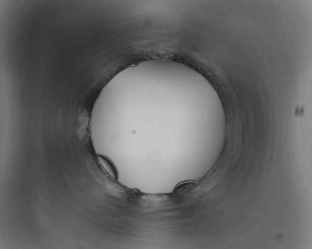 X0000093770480200711061139