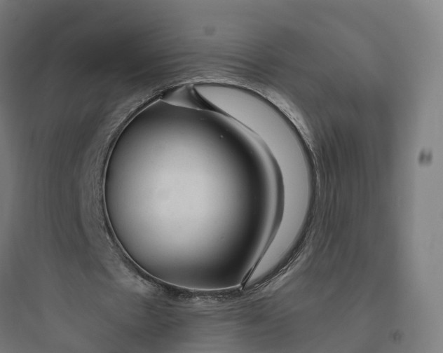 X0000093770481200711061138