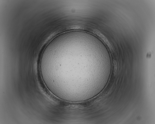 X0000093770482200711061138