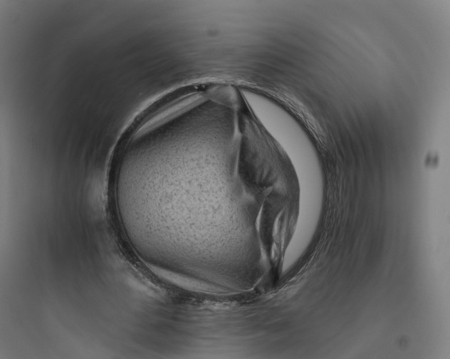 X0000093770484200711061138