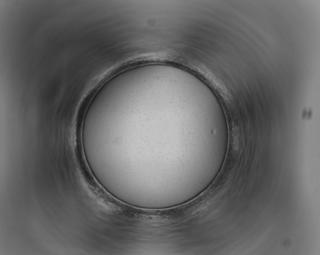 X0000093770486200711061138