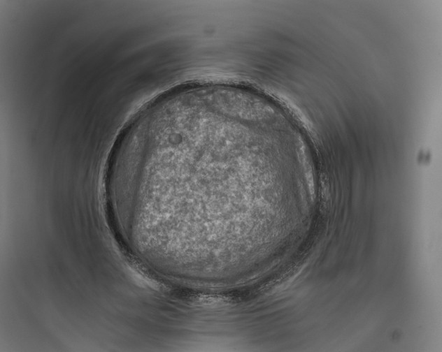 X0000093770487200711061138