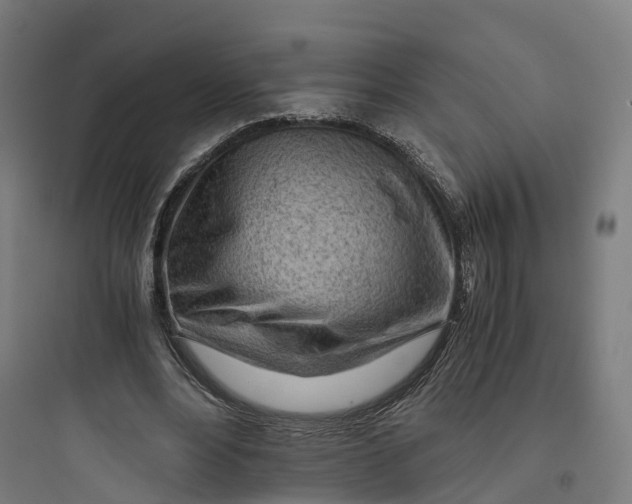 X0000093770488200711061138