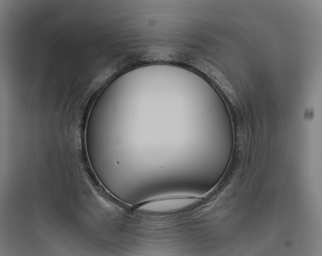 X0000093770489200711061138