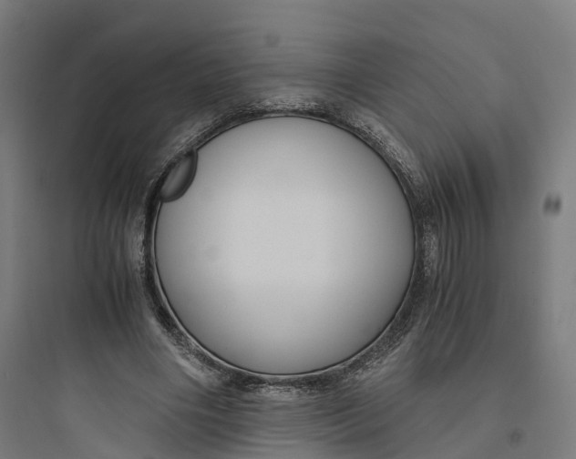 X0000093770490200711061138