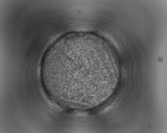 X0000093770491200711061138