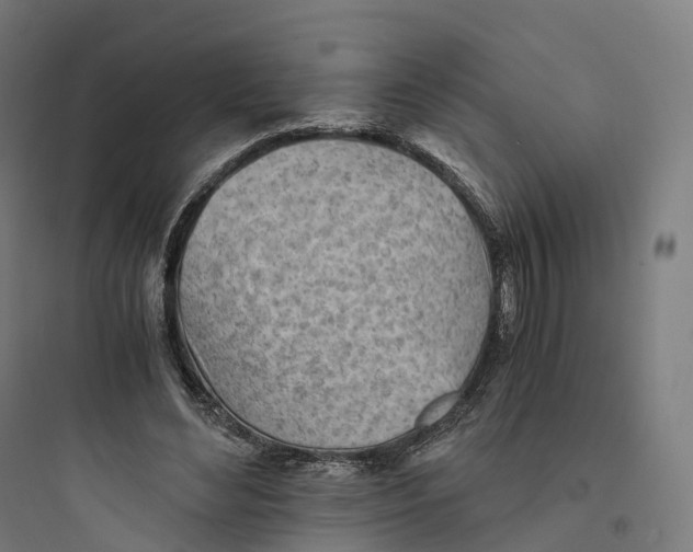 X0000093770492200711061138