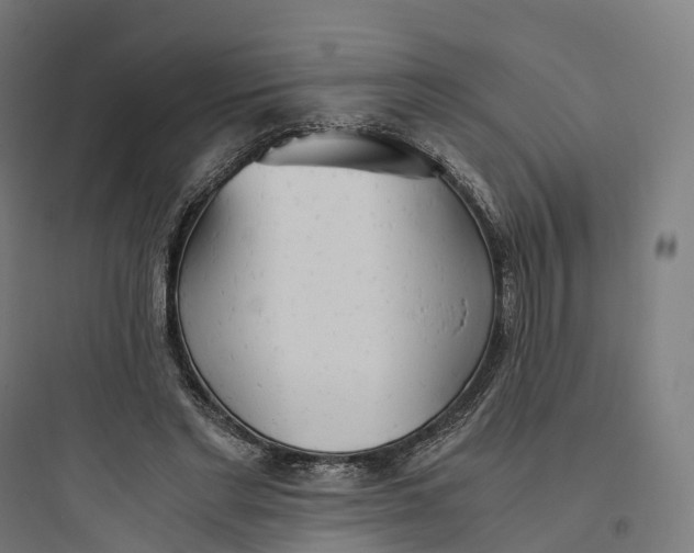 X0000093770493200711061138