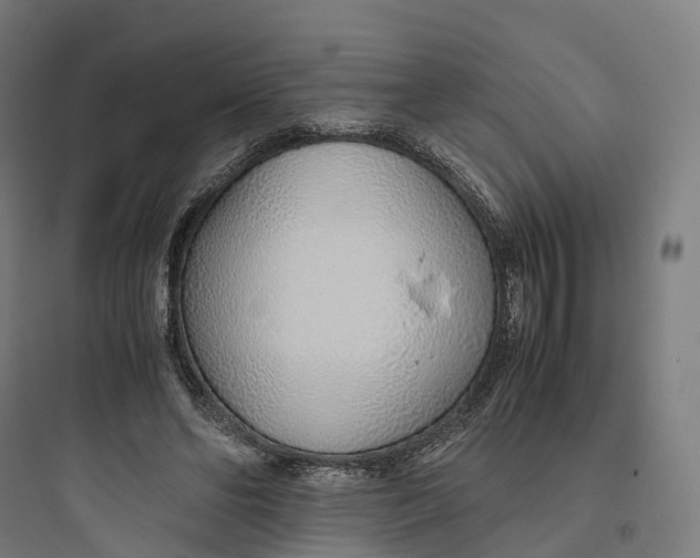 X0000093770494200711061138