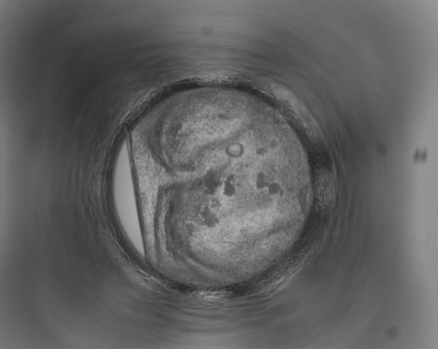 X0000093770495200711061138