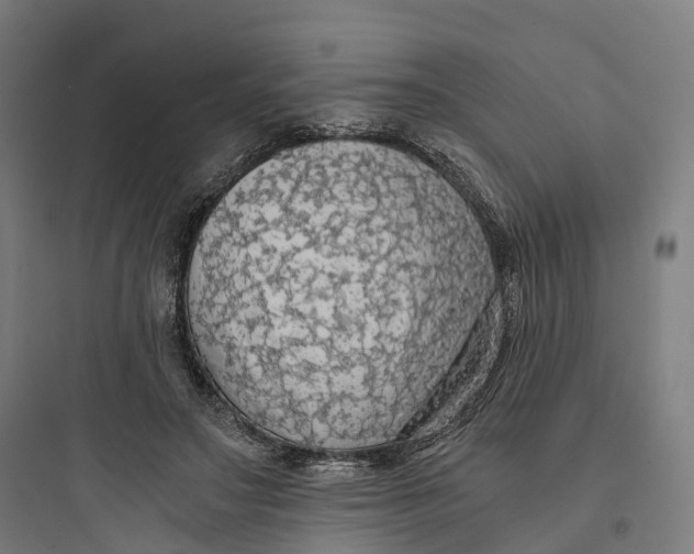 X0000093770499200711061138