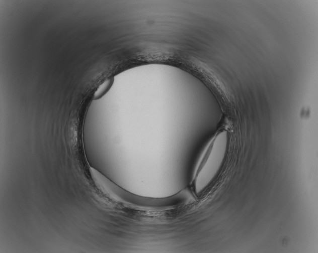 X0000093770501200711061138