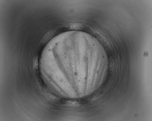 X0000093770502200711061138