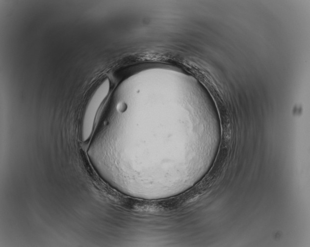 X0000093770503200711061138