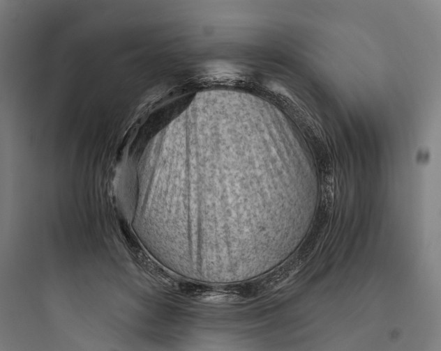 X0000093770504200711061138