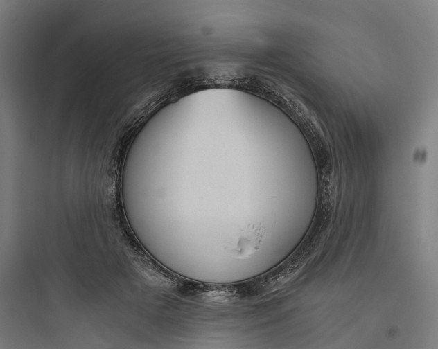 X0000093770505200711061138