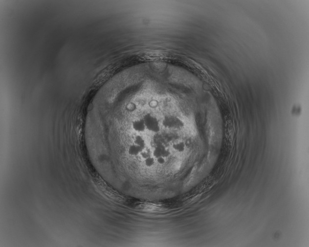 X0000093770507200711061138