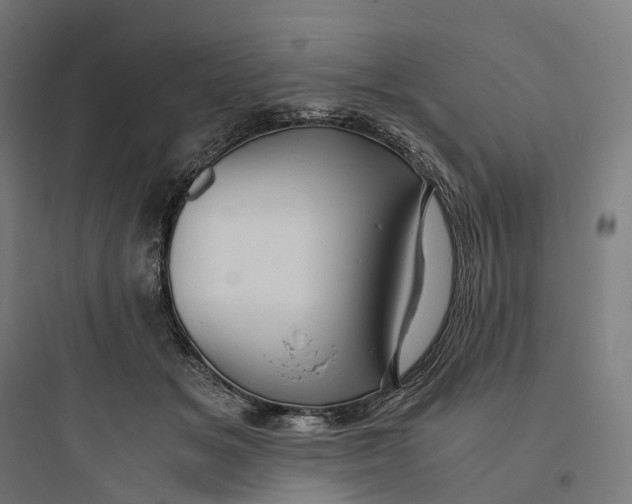 X0000093770509200711061138