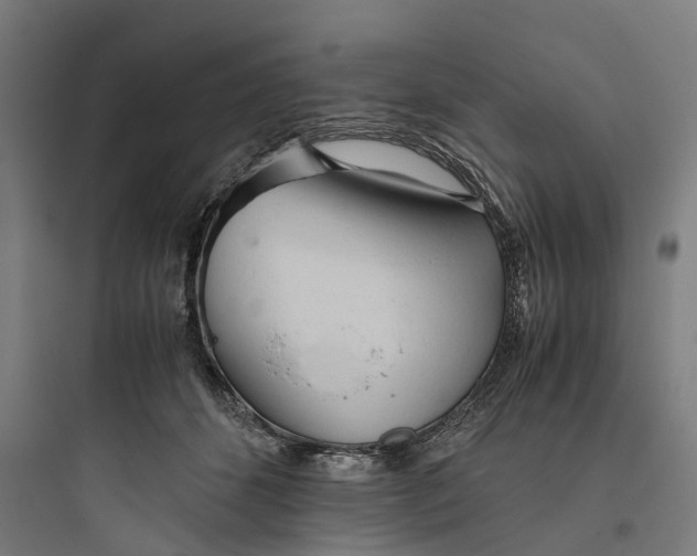 X0000093770512200711061137