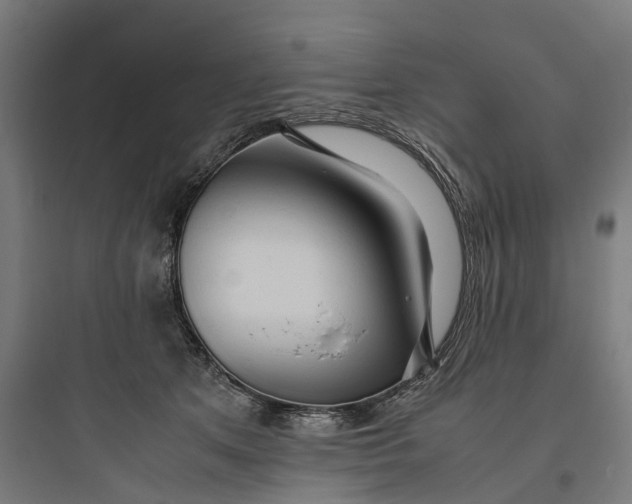 X0000093770513200711061137