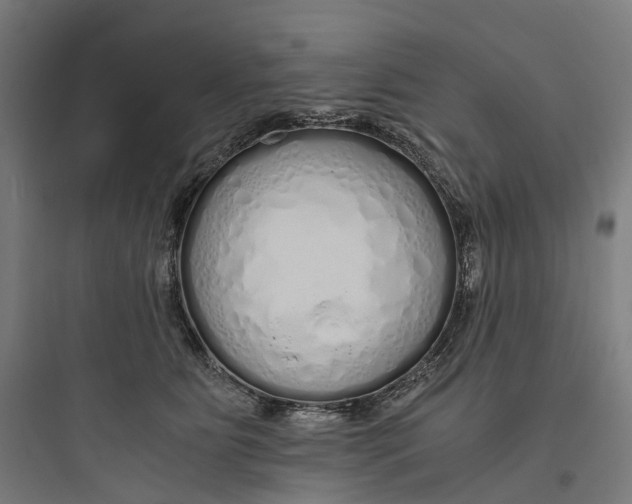 X0000093770515200711061137