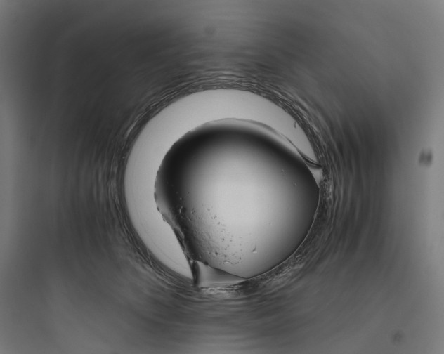 X0000093770516200711061137