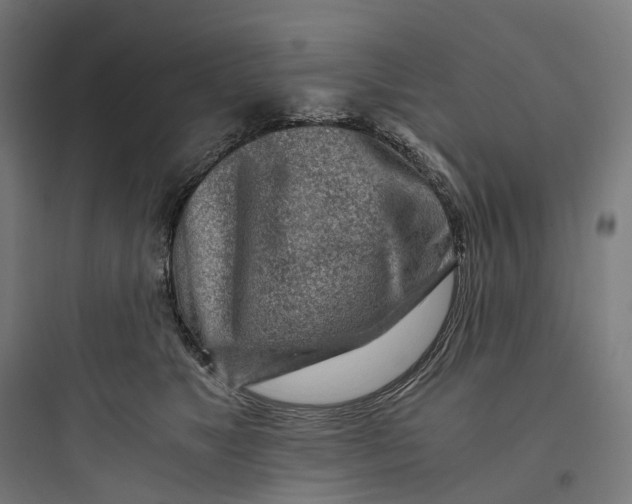 X0000093770517200711061137