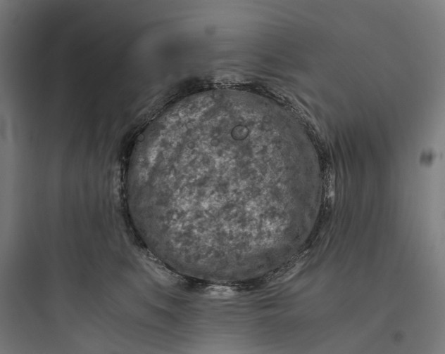 X0000093770519200711061137