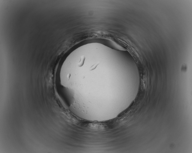 X0000093770520200711061137