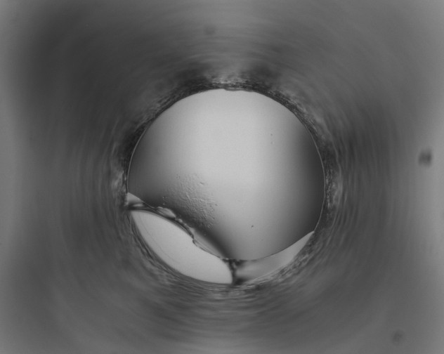 X0000093770521200711061137