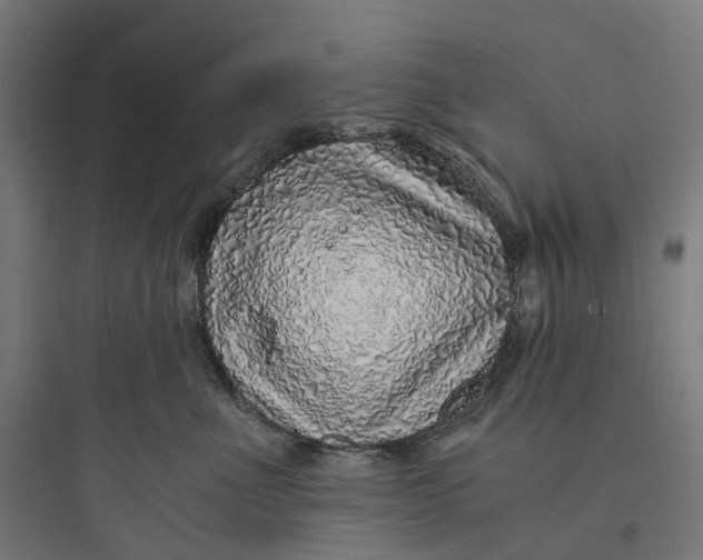 X0000093770523200711061137