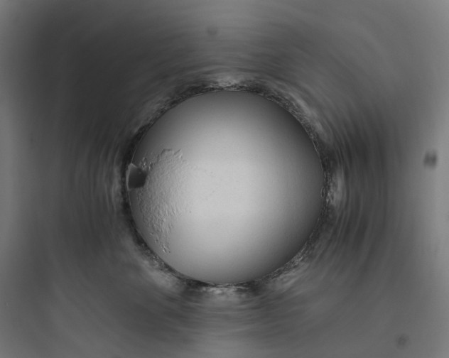 X0000093770524200711061137