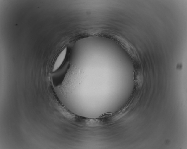 X0000093770525200711061137